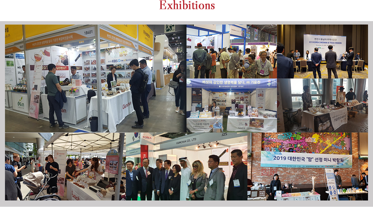 exhibitions