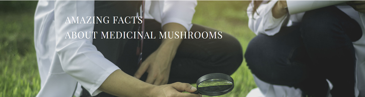 amazing facts about medicinal mushrooms